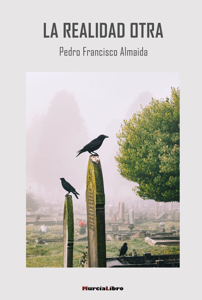 LA REALIDAD OTRA, de Almaida, Pedro Francisco | portada del libro