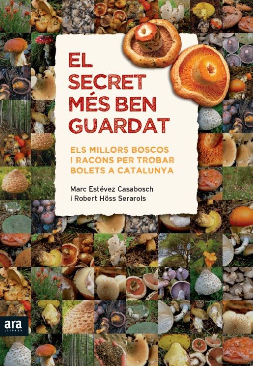 El secret més ben guardat, de Estévez Casabosch, Marc | portada del libro