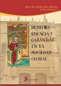 Derecho, eficacia y garantías en la sociedad global. | portada del libro