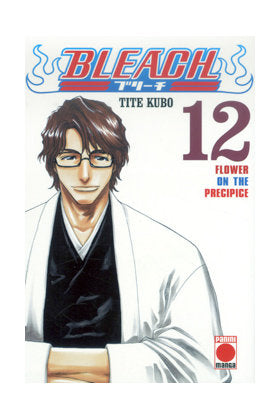 BLEACH 12, de KUBO,TITE | portada del libro