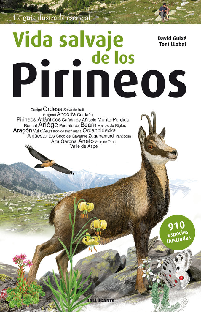Vida salvaje de los Pirineos, de Guixé Coromines, David | portada del libro