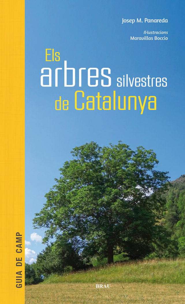 Els arbres silvestres de Catalunya, de Panareda Clopés, Josep M | portada del libro