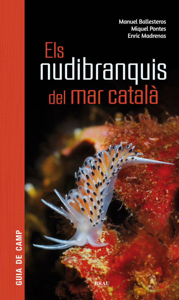Els nudibranquis del mar català, de Ballesteros Vázquez, Manuel | portada del libro