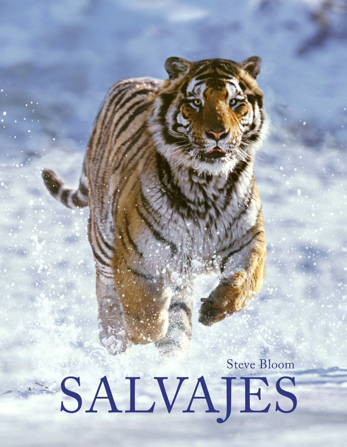 Salvajes, de Bloom, Steve | portada del libro