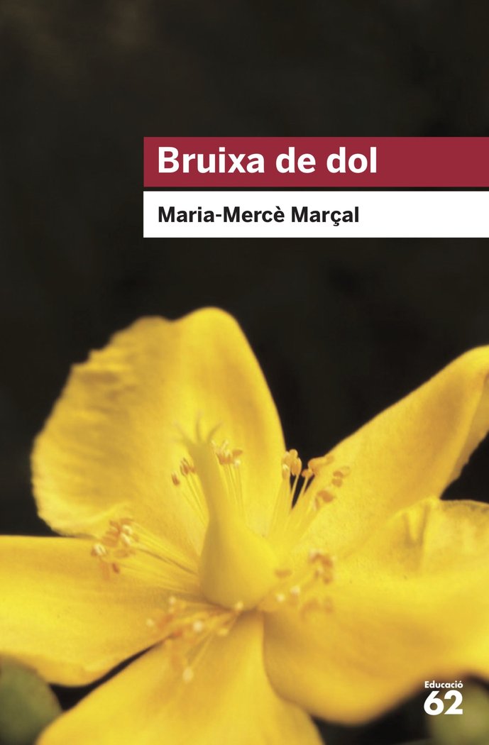Bruixa de dol (1977-1979), de Marçal Serra, M. Mercè | portada del libro