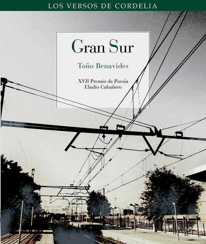 Gran Sur, de Benavides [González], Toño | portada del libro