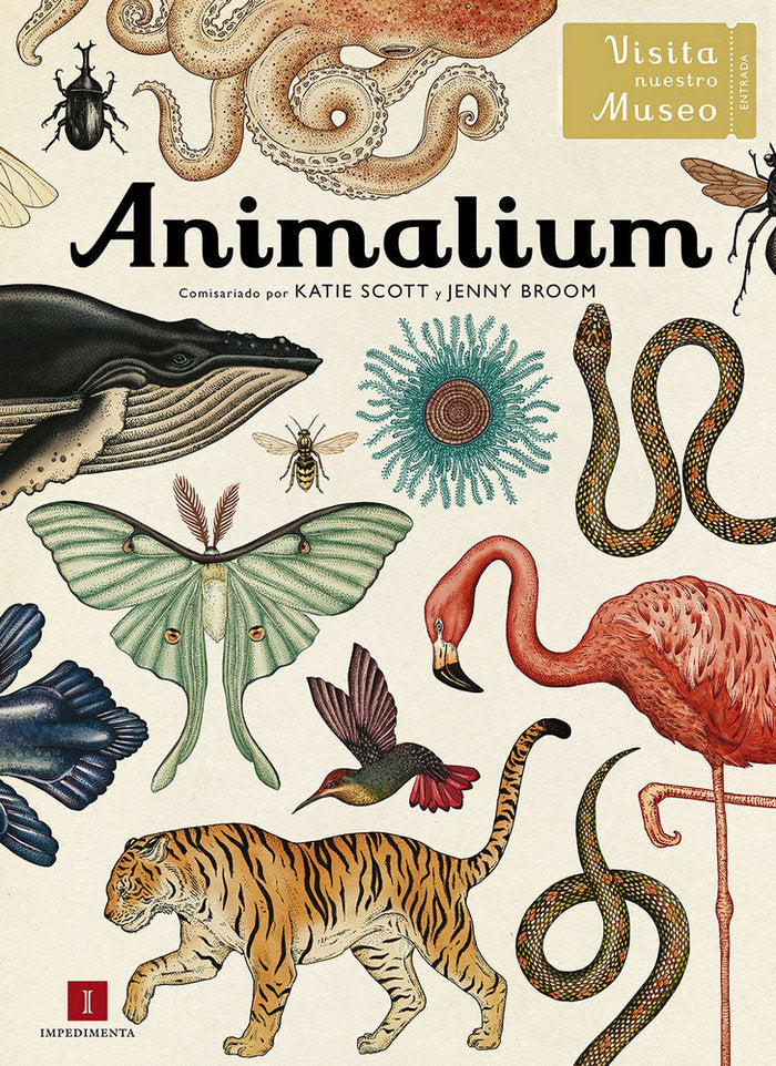 Animalium, de BROOM,JENNY Y SCOTT,KATIE | portada del libro
