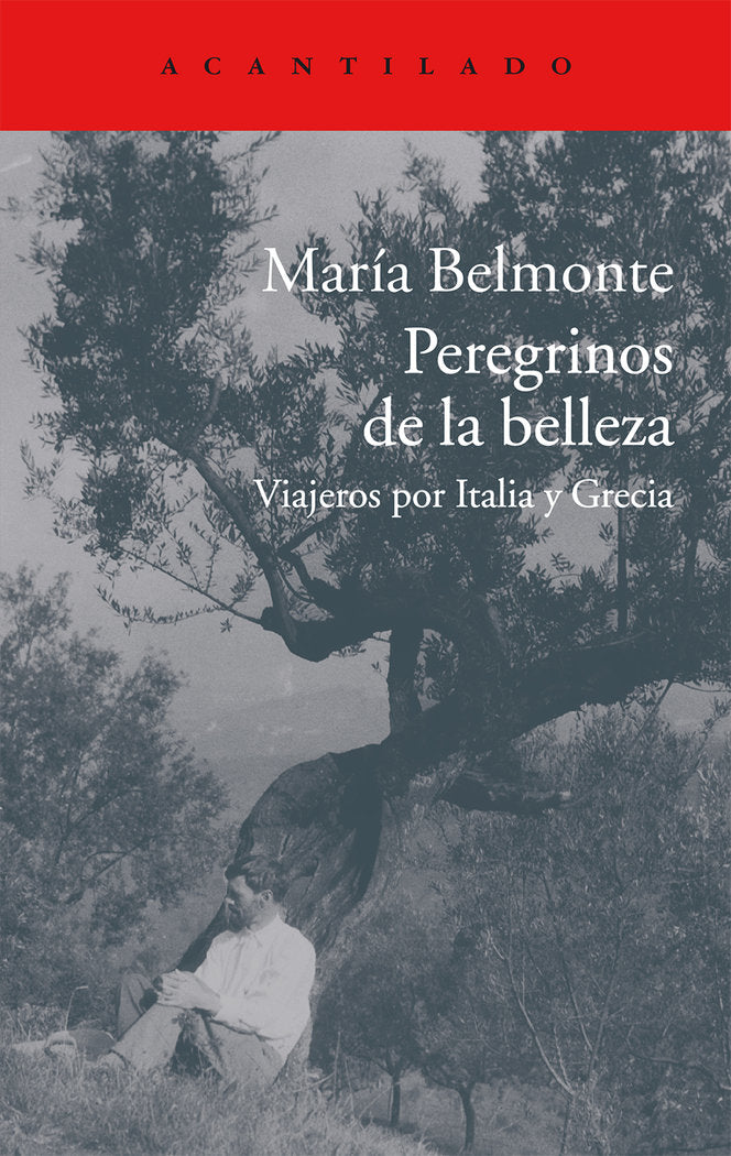 Peregrinos de la belleza, de Belmonte Barrenechea, María | portada del libro