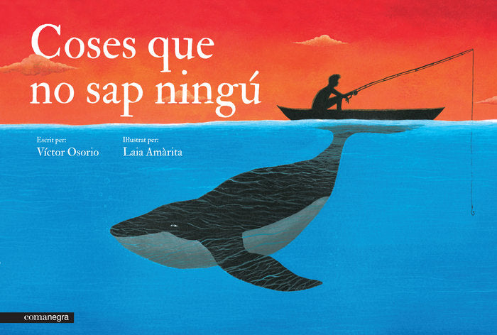 Coses que no sap ningú, de Víctor Osorio | portada del libro