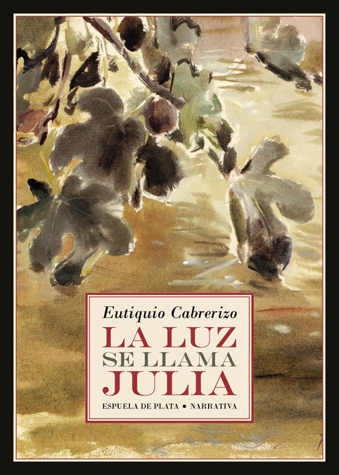 La luz se llama Julia, de Cabrerizo, Eutiquio | portada del libro