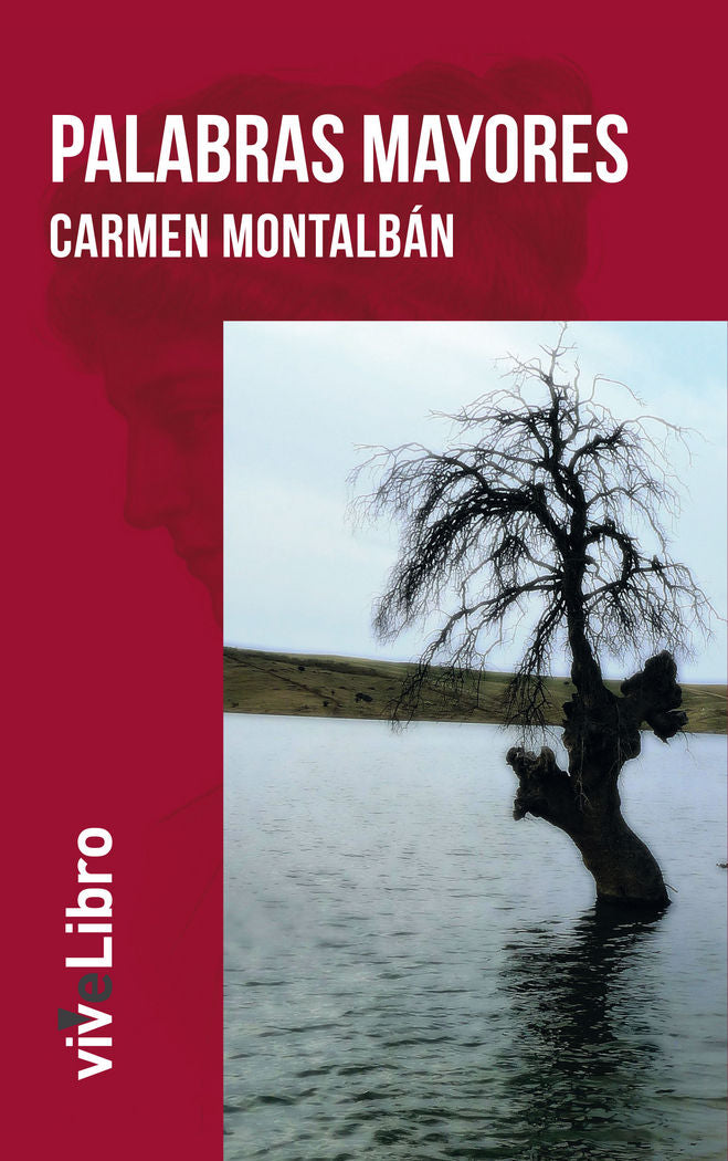 Palabras Mayores, de Montalbán Mansilla, Carmen | portada del libro