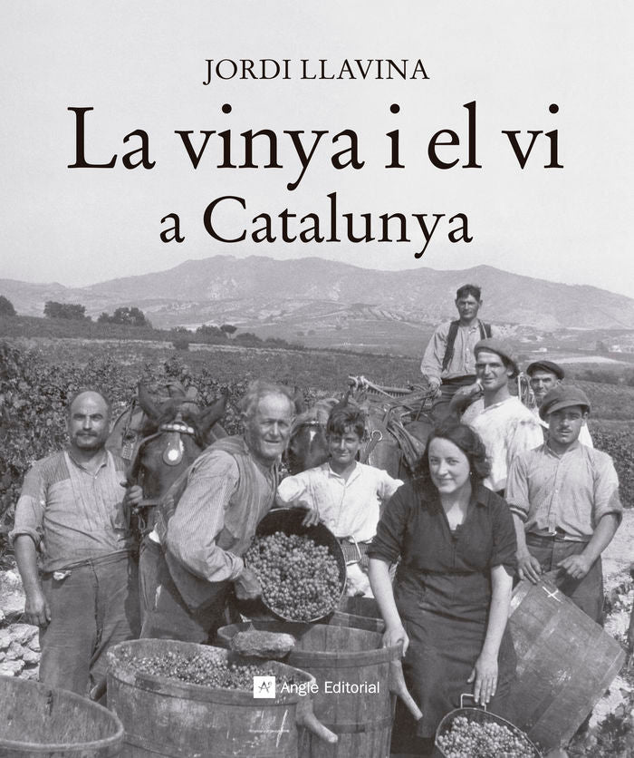 La vinya i el vi a Catalunya, de Llavina Murgadas, Jordi | portada del libro