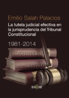 LA TUTELA JUDICIAL EFECTIVA EN LA JURISPRUDENCIA DEL TRIBUNAL CON STITUCIONAL. 1981-2014, de EMILIO SALAH PALACIOS | portada 