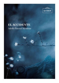El accidente, de Pascual Mendoza, Adolfo | portada del libro