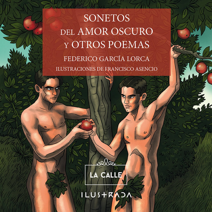 Sonetos del amor oscuro y otros poemas, de García Lorca, Federico | portada del libro