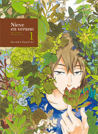 Nieve en verano 1, Natsuyuki rendezvous, de HARUKA KAWACHI | portada del libro