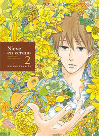 Nieve en verano 2, Natsuyuki rendezvous, de HARUKA KAWACHI | portada del libro