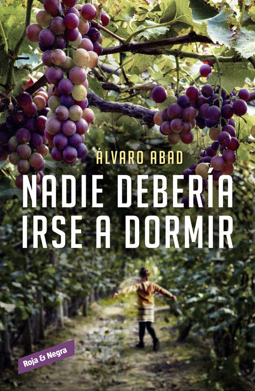 Nadie debería irse a dormir, de Abad, Álvaro | portada del libro