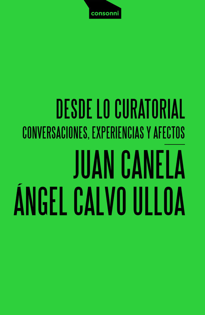 Desde lo curatorial, de Calvo Ulloa, Ángel | portada del libro