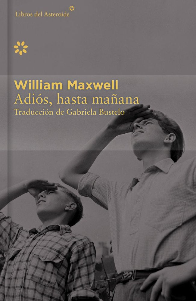Adiós, hasta mañana - Colección Décimo Aniversario, de Maxwell, William | portada del libro