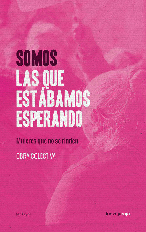 SOMOS LAS QUE ESTABAMOS ESPERANDO, de , COLECTIVO DE AUTORAS | portada del libro