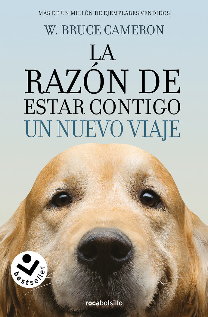 La razón de estar contigo. Un nuevo viaje, de Cameron, W. Bruce | portada del libro