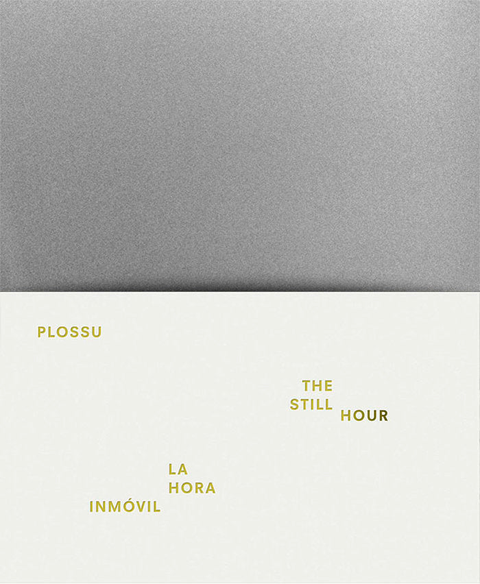 LA HORA INMOVIL, de PLOSSU, BERNARD | portada del libro