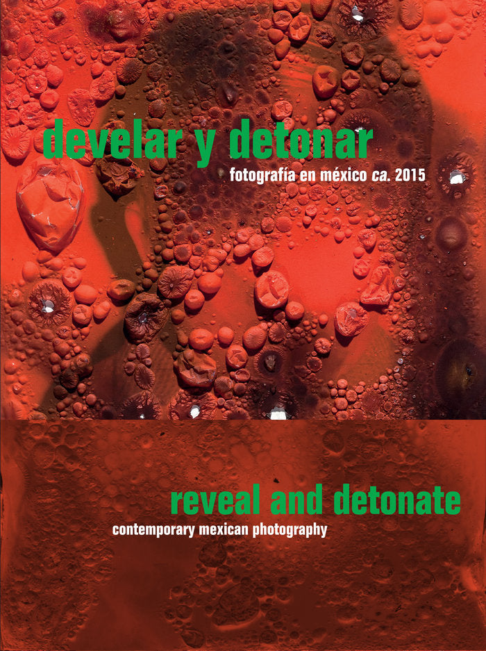 Develar y Detonar, de Schmelz, Itala | portada del libro