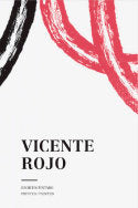 Vicente Rojo, de Varios autores | portada del libro
