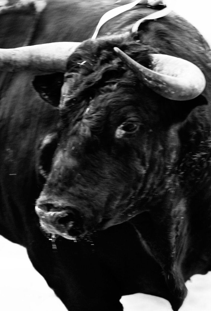 Sangre de Reyes, de Cazalis, Carlos | portada del libro