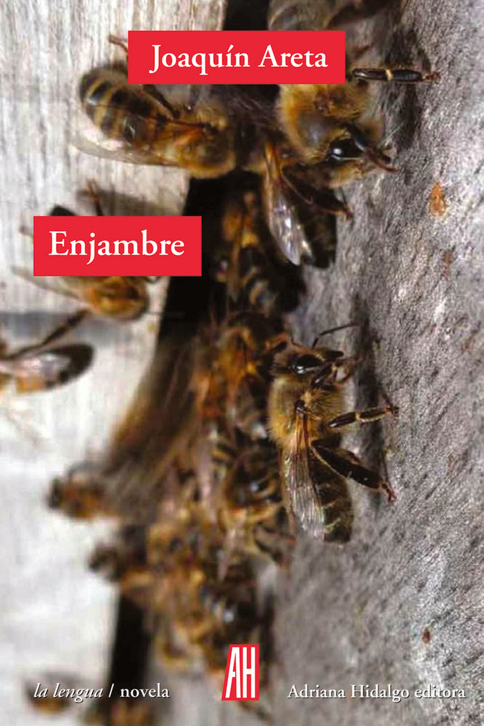 Enjambre, de ARETA,JOAQUIN | portada del libro