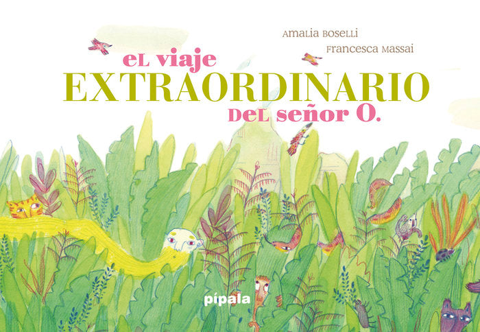 EL VIAJE EXTRAORDINARIO DEL SEÑOR O, de BOSELLI,AMALIA | portada del libro