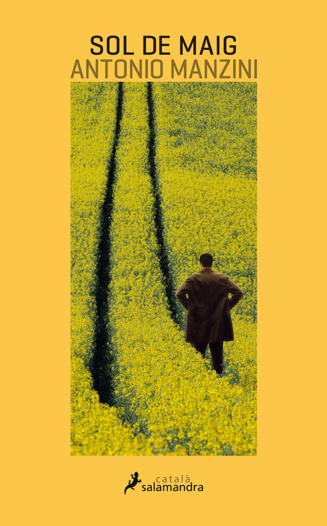 Sol de maig (Viceqüestor Rocco Schiavone  4), de Manzini | portada del libro