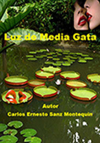 Luz de Media Gata, de Sanz Montequín | portada del libro