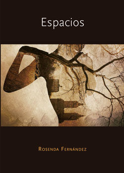 Espacios, de Fernández Fernández | portada del libro