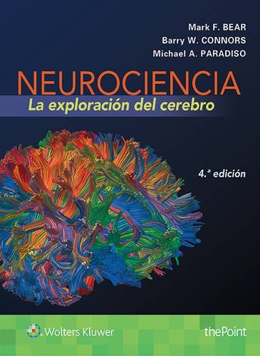 NEUROCIENCIA: LA EXPLORACION DEL CEREBRO. 4ª ED., de BEAR | portada del libro
