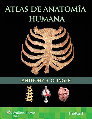 Atlas de anatom¡a humana, de OLINGER | portada del libro