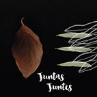 Juntas/Juntes, de AA.VV. | portada del libro