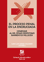 El proceso penal en la encrucijada, de AA.VV. | portada del libro