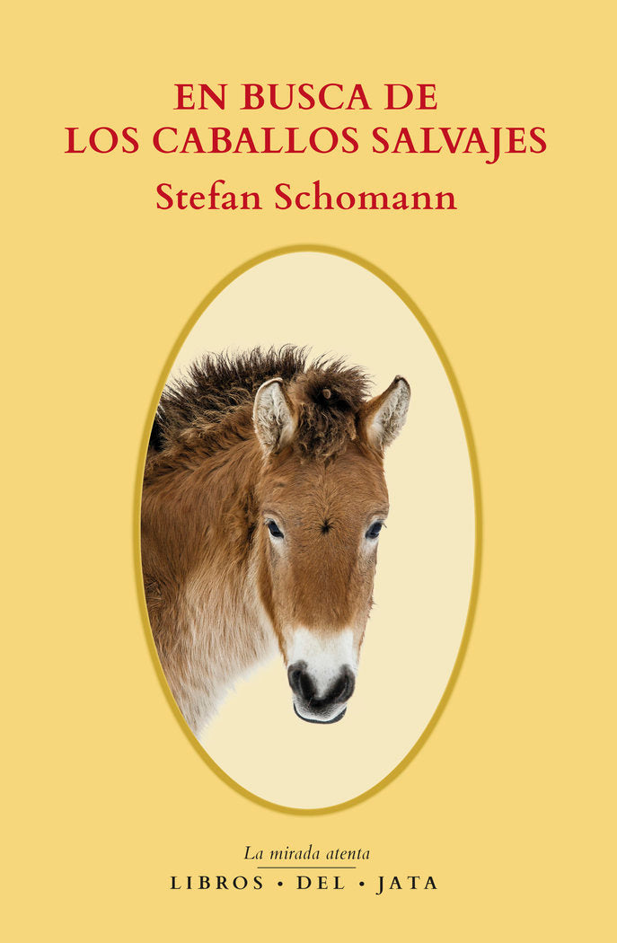 EN BUSCA DE LOS CABALLOS SALVAJES, de Schomann, Stefan | portada del libro