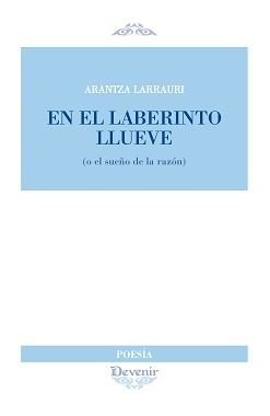 En el laberinto llueve, de Larrauri Mínguez | portada del libro