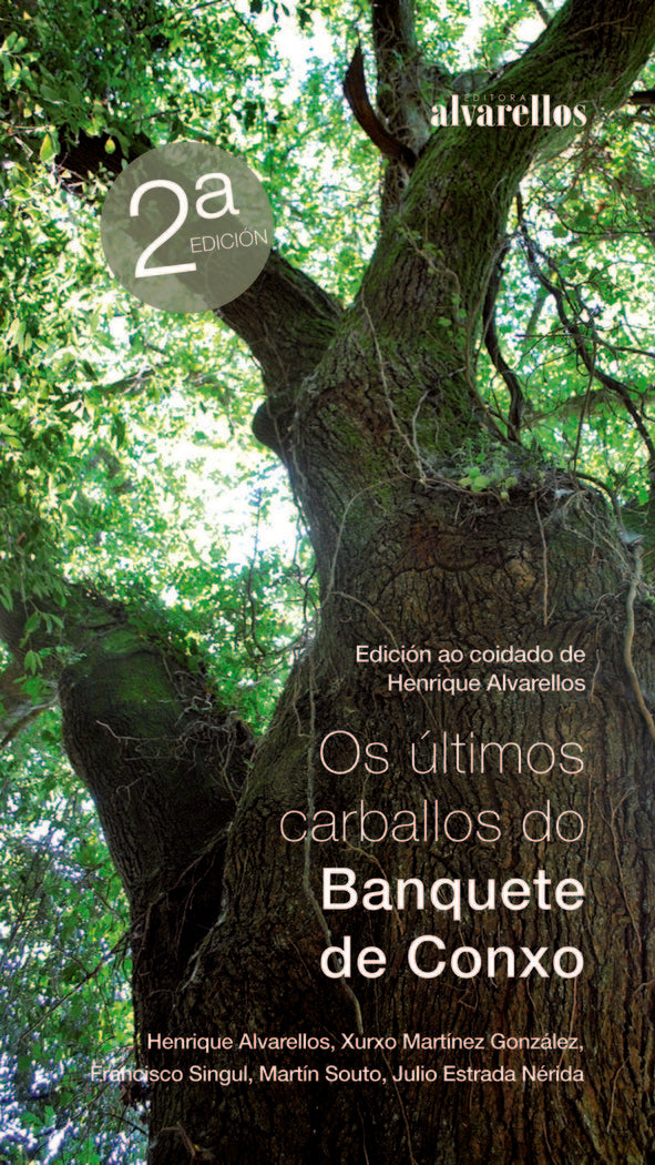 OS ÚLTIMOS CARBALLOS DO BANQUETE DE CONXO, de Martínez González, Xurxo | portada del libro