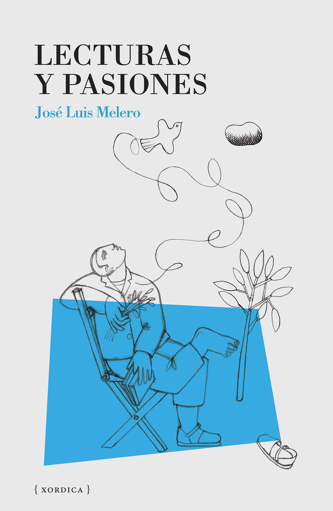 LECTURAS Y PASIONES, de MELERO, JOSE LUIS | portada del libro