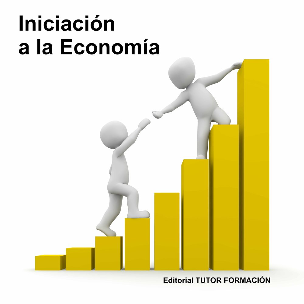 INICIACION A LA ECONOMIA, de DOMINGUEZ GONZALO, ENRIQUE | portada del libro