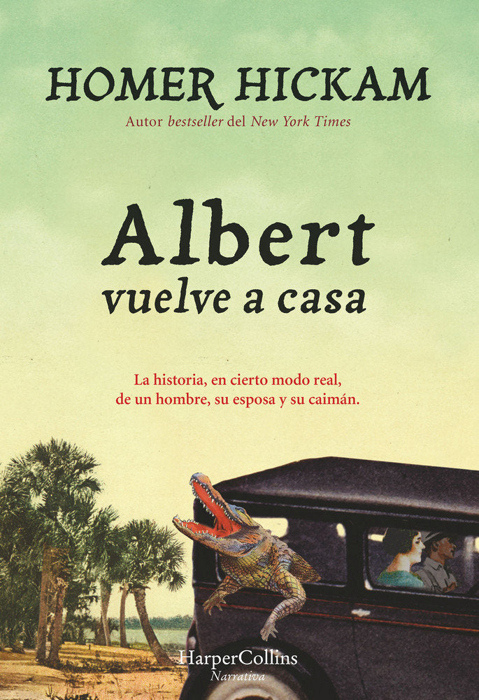 Albert vuelve a casa, de Hickam, Homer | portada del libro