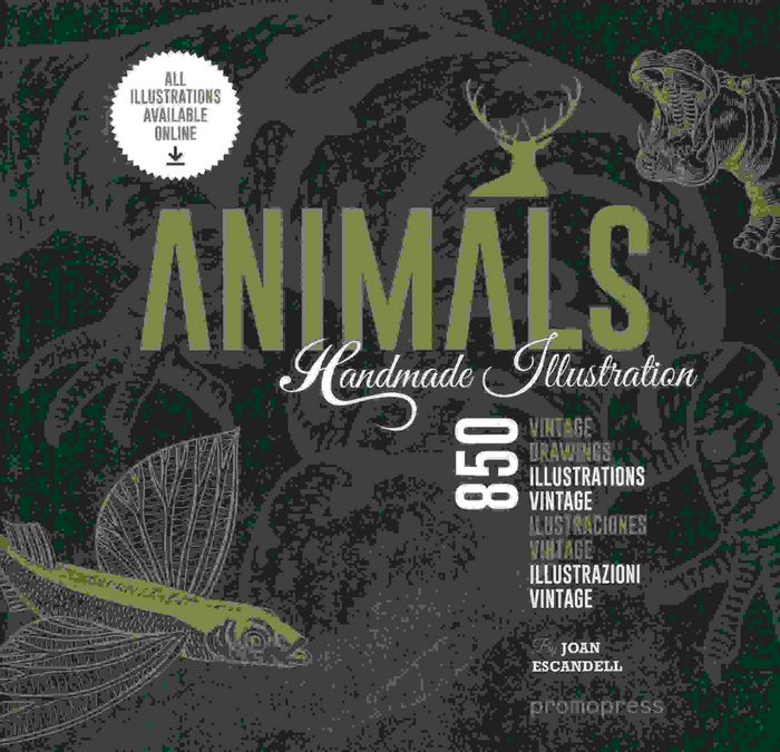 Animals Handmade Illustration, de Escandell Torres, Joan | portada del libro