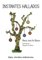 INSTANTES HALLADOS, de MARIA JOSE VIZ BLANCO | portada del libro