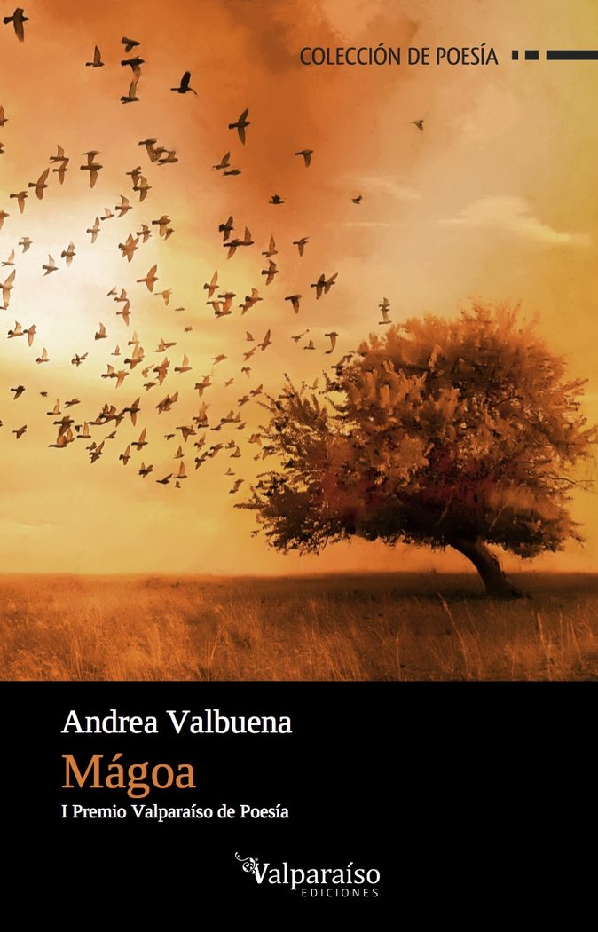 Mágoa, de Valbuena Rodríguez, Andrea | portada del libro