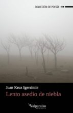 LENTO ASEDIO DE NIEBLA, de Juan Kruz Igerabide | portada del libro