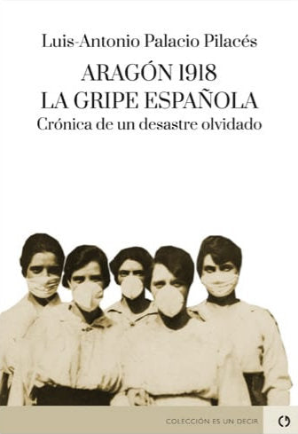 ARAGON 1918 LA GRIPE ESPAÑOLA, de PALACIO PILACES, LUIS ANTONIO | portada del libro
